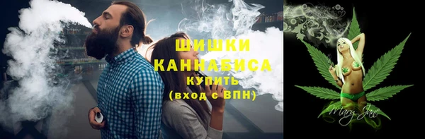 индика Нефтегорск
