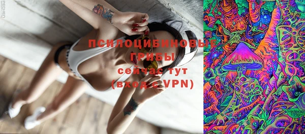 Альфа ПВП Балахна
