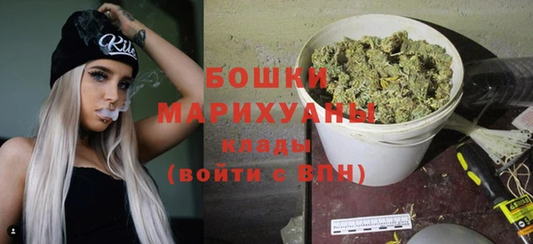 индика Нефтегорск
