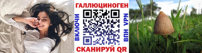 закладка  Озёры  Галлюциногенные грибы GOLDEN TEACHER 