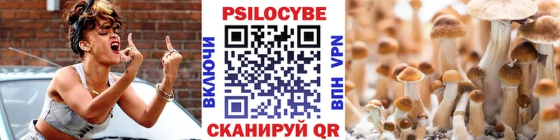 Псилоцибиновые грибы Cubensis Озёры